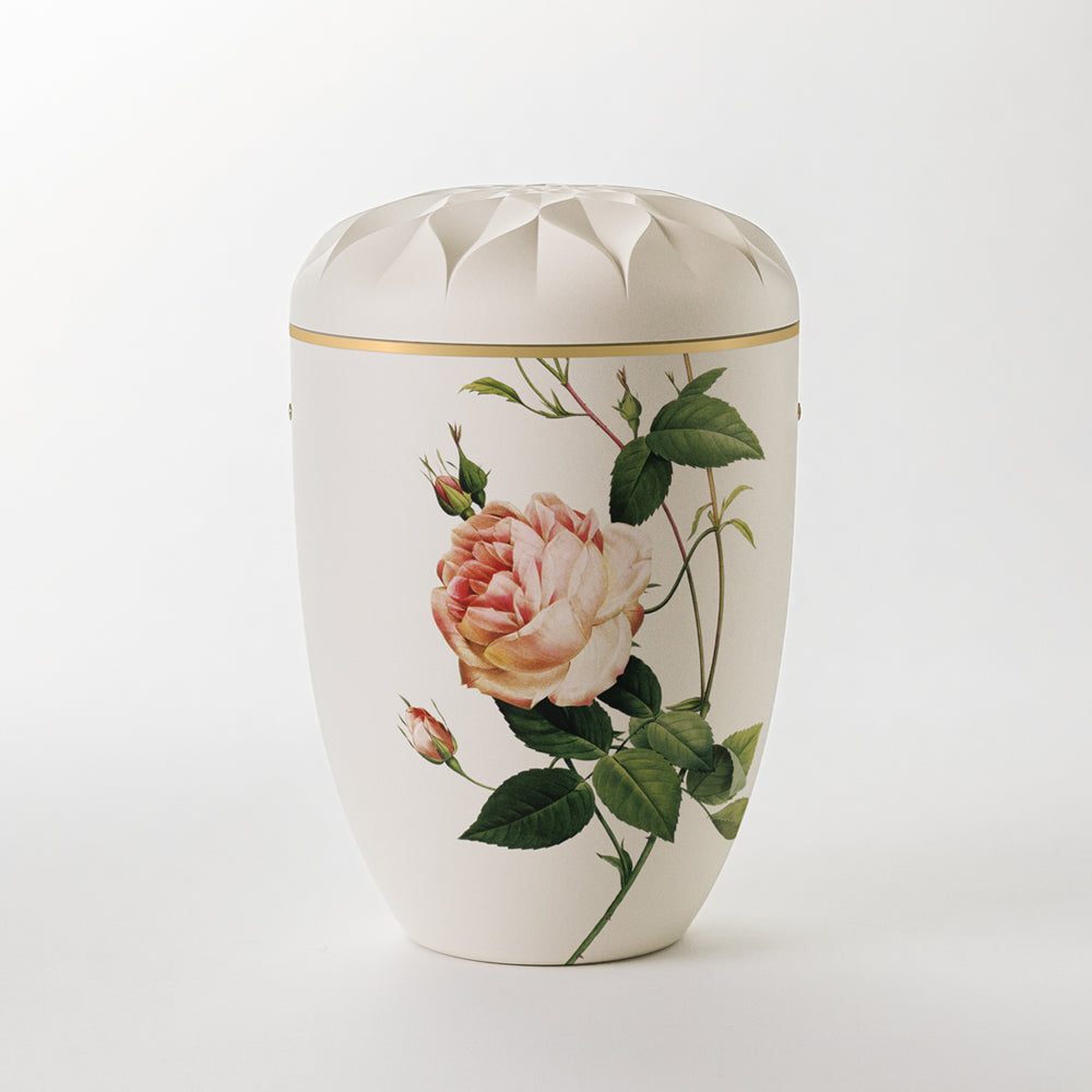 Kaufen auf-urne-apfelblute-cremeweiss Samosa Urne Rose Reliefurne