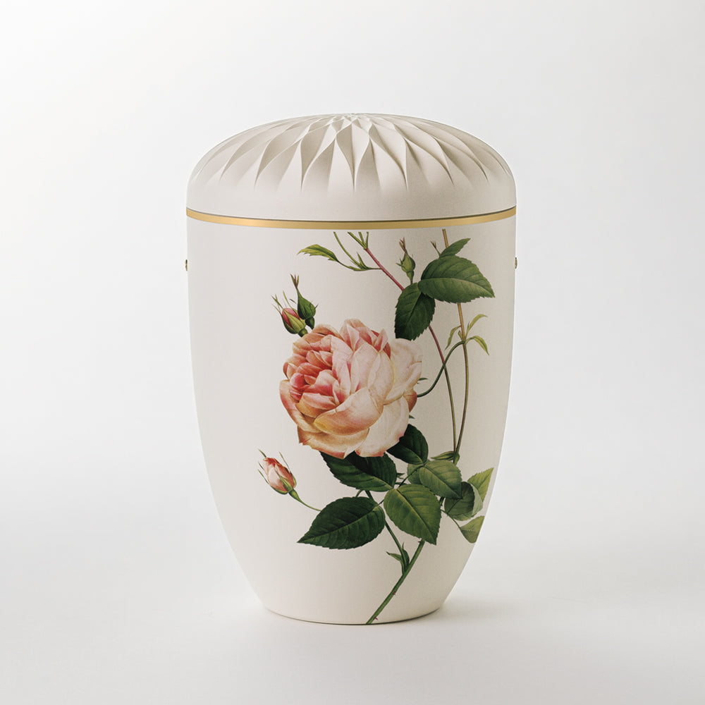 Kaufen auf-urne-dahlie-cremeweiss Samosa Urne Rose Reliefurne