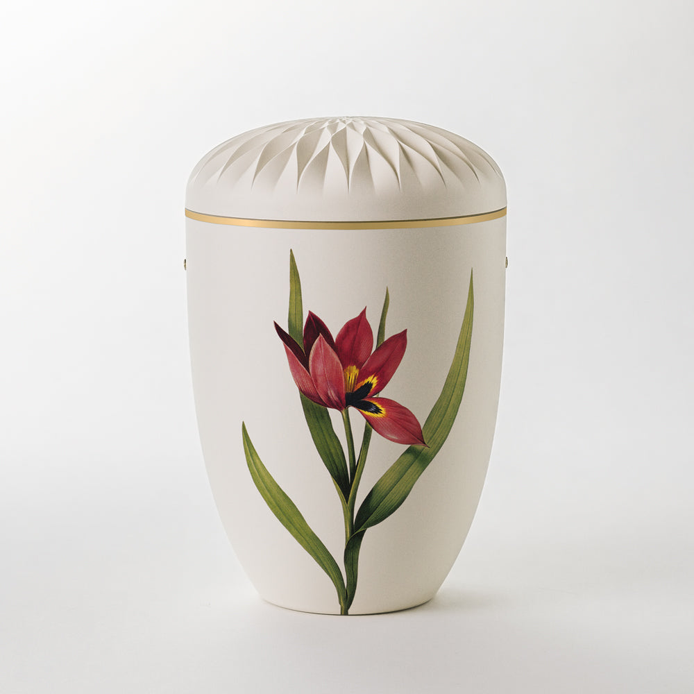 Kaufen auf-urne-dahlie-cremeweiss Samosa Urne Tulpe Reliefurne
