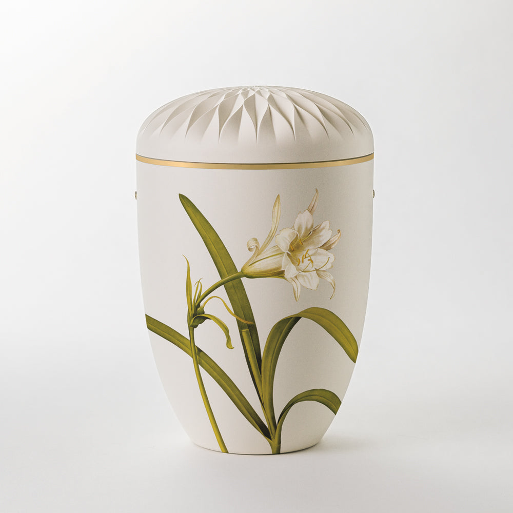 Kaufen auf-urne-dahlie-cremeweiss Samosa Urne Weiße Lilie Reliefurne