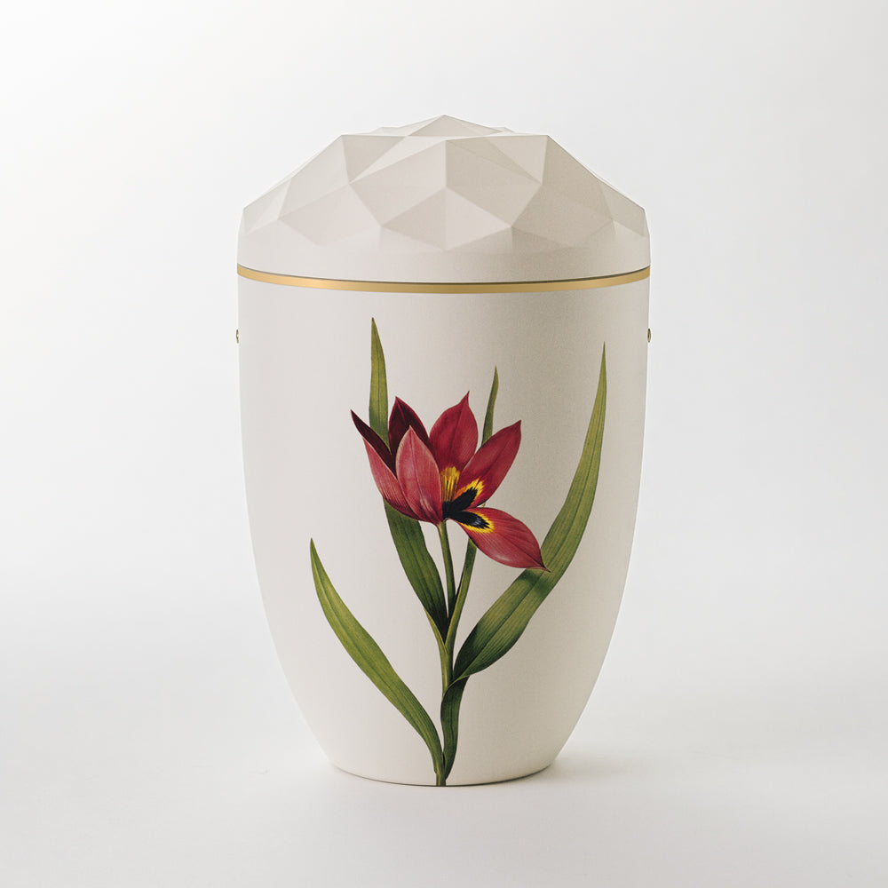 Kaufen auf-urne-kristall-cremeweiss Samosa Urne Tulpe Reliefurne