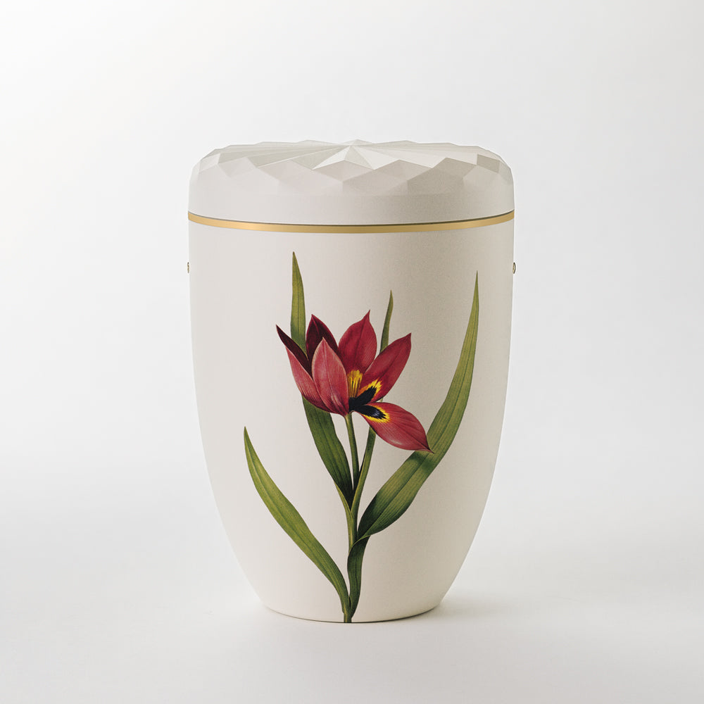 Samosa urn tulip relief urn - 0
