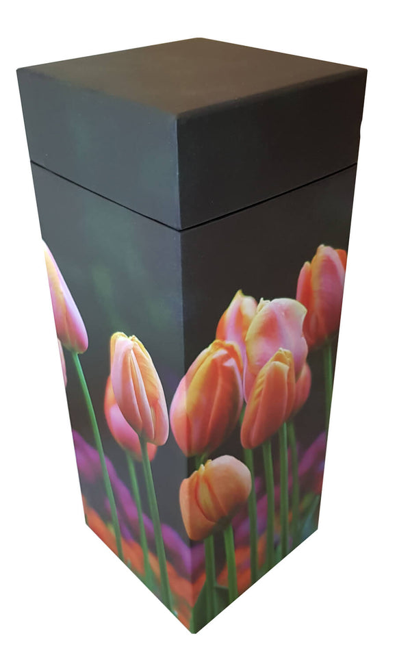 ScatterPod Medium Streuurne