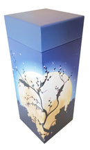 ScatterPod Medium Streuurne-10