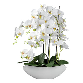 Orchidea pianta artificiale deco bianco