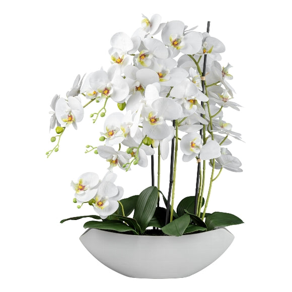 Orchidea pianta artificiale deco bianco