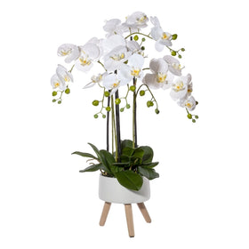 Pianta artificiale di orchidea Real Touch deco bianco