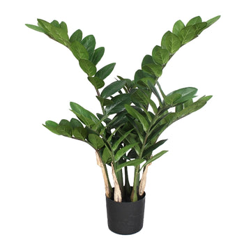 Zamifolia planta artificial deco