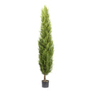 Thuja smaragd pianta artificiale deco-1