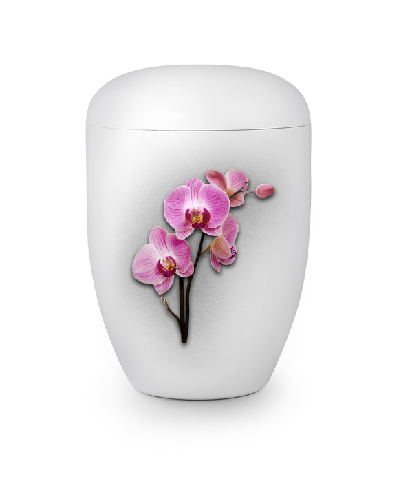 Urna Völsing Edizione Fleur Blanche