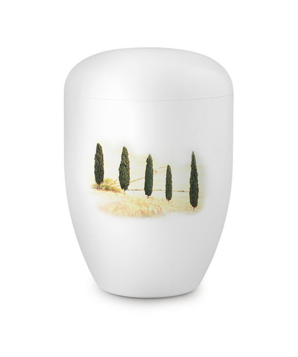 Völsing Urn Edition 1