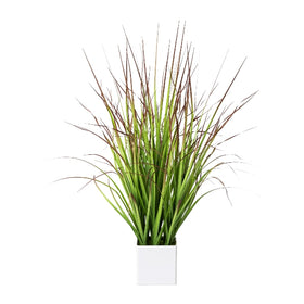 Sangue erba artificiale pianta erba artificiale deco