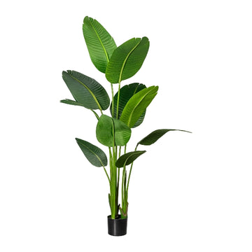 Strelitzia Nicolai Kunstpflanze deko