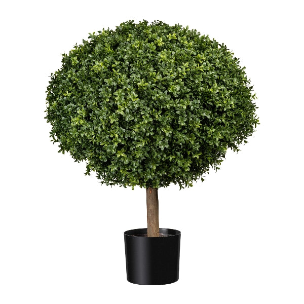 Buchsbaum Kunstpflanze deko - 0