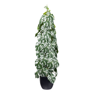 Kaufen ohne-ubertopf Splitphilodendron Variegata Kunstpflanze deko