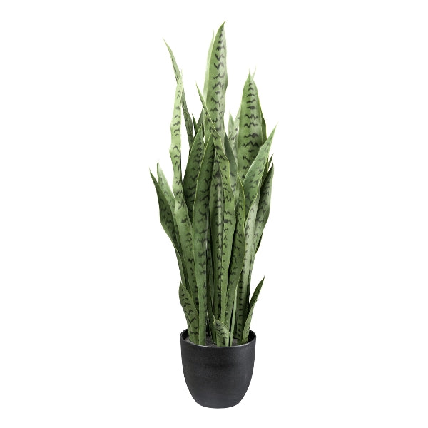 Kaufen ohne-ubertopf Sanseveria Kunstpflanze deko