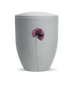 Mohnblume