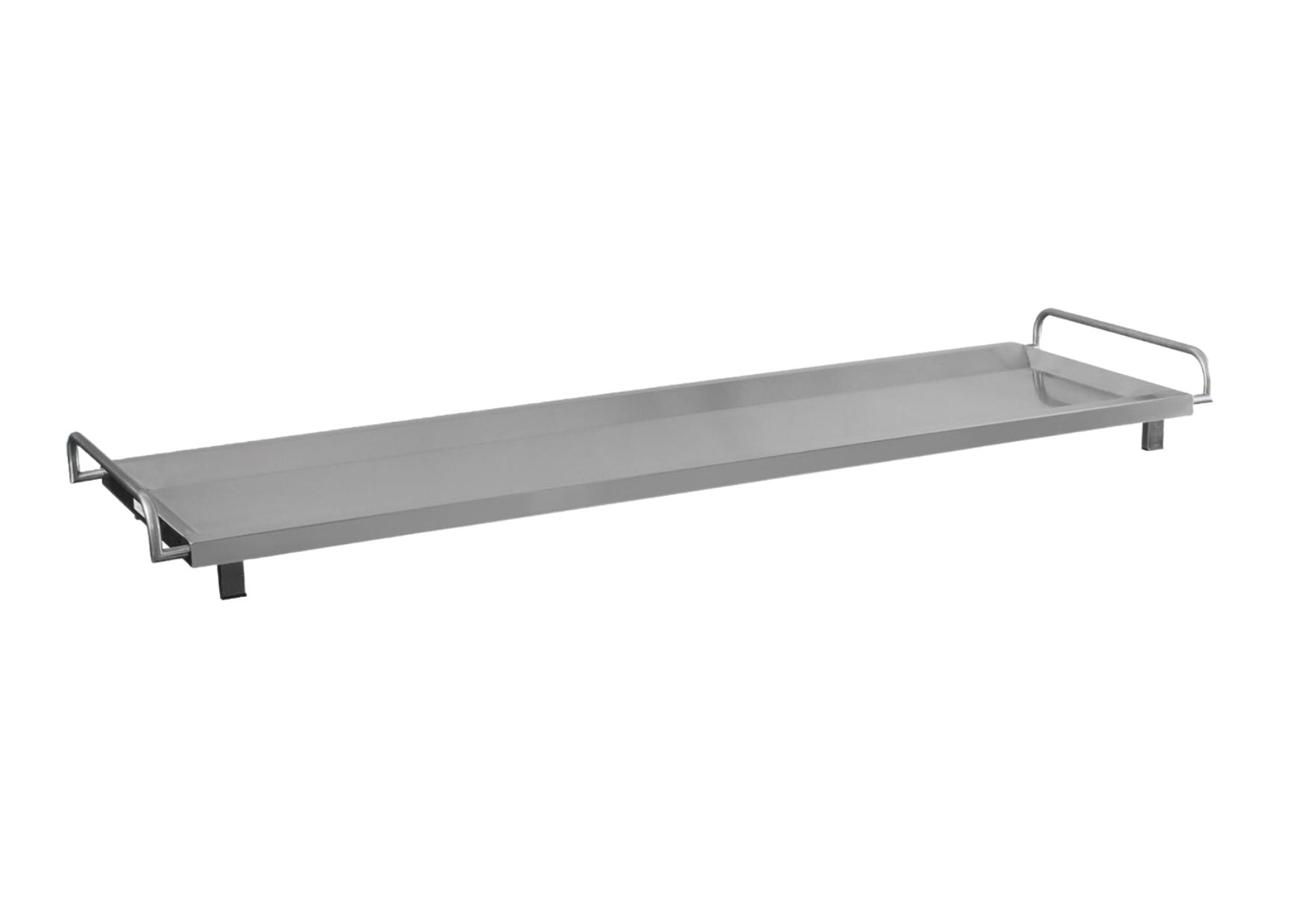 Stainless steel body tray with feet