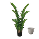 Zamifolia Kunstpflanze deko