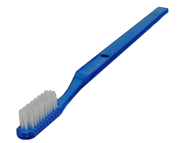 Disposable toothbrush with tooth powder set of 10
