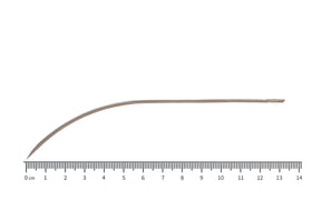 Aghi di Lavabis leggermente ricurvi