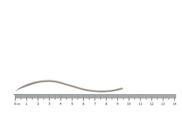 Lavabis Nadel geschlängelt