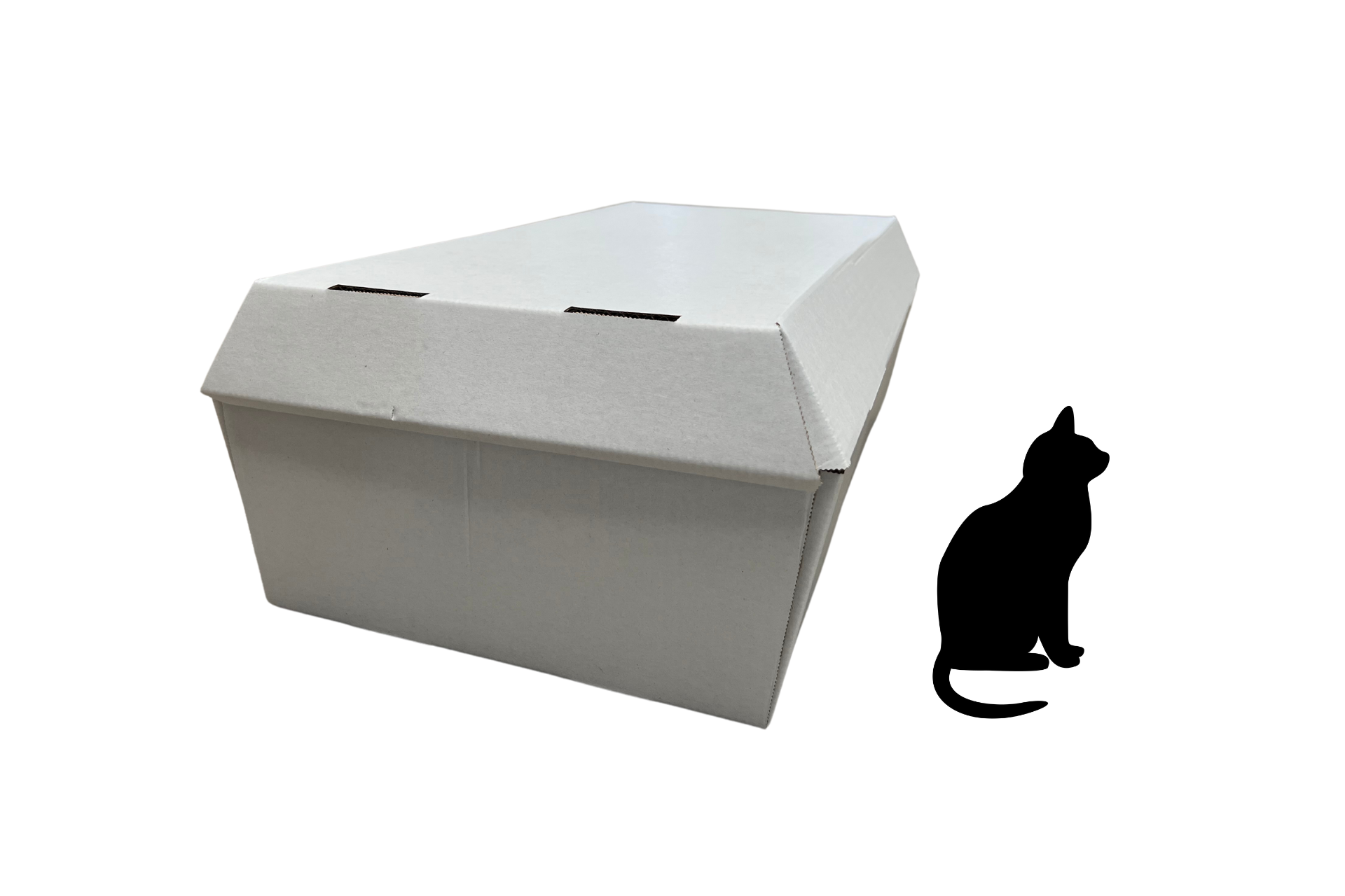 Cardboard animal coffin, various sizes