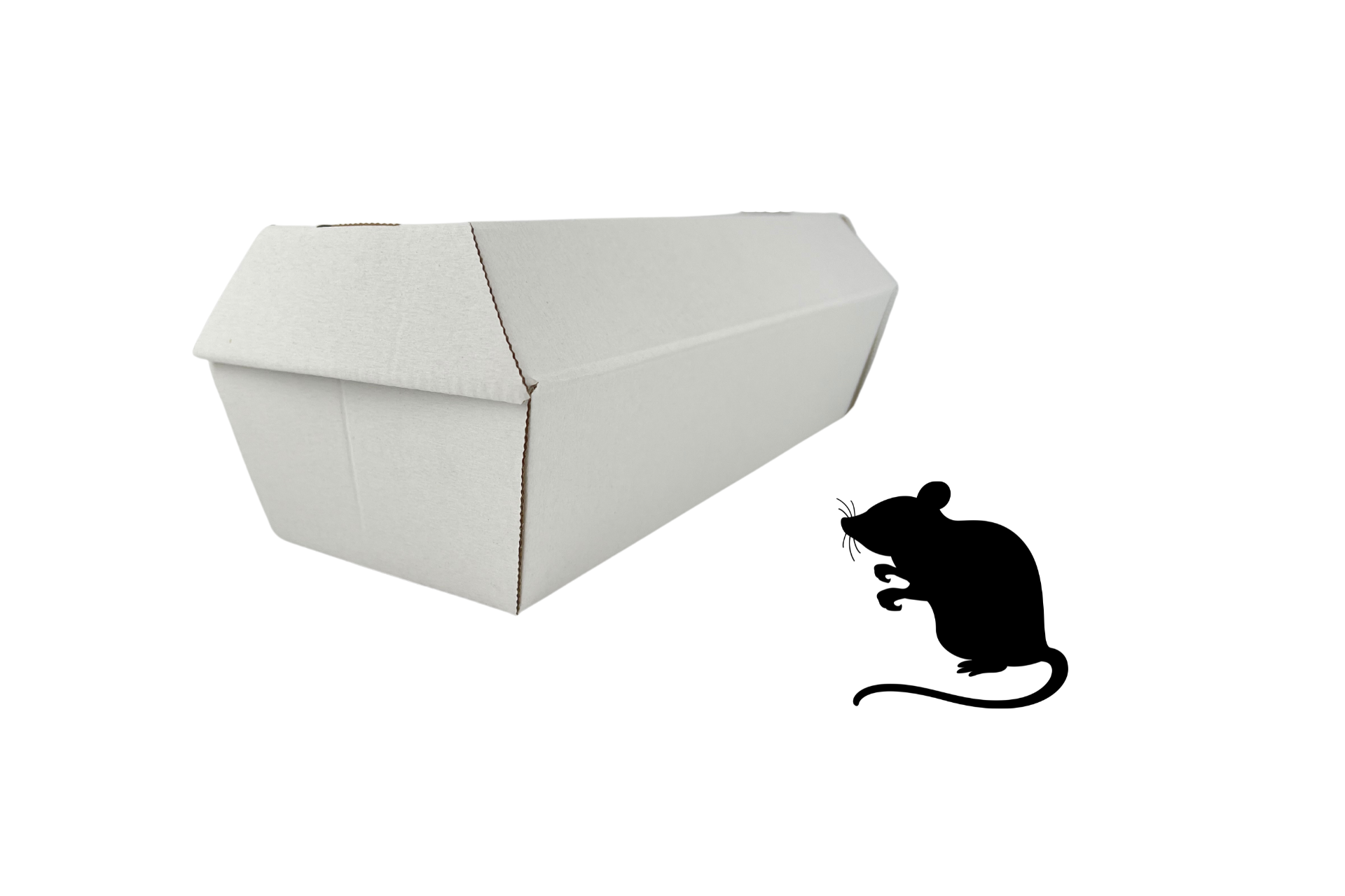 Cardboard animal coffin, various sizes