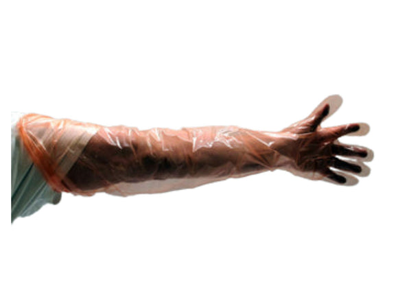 Veterinärhandschuhe, PE, orange / 50 Stück