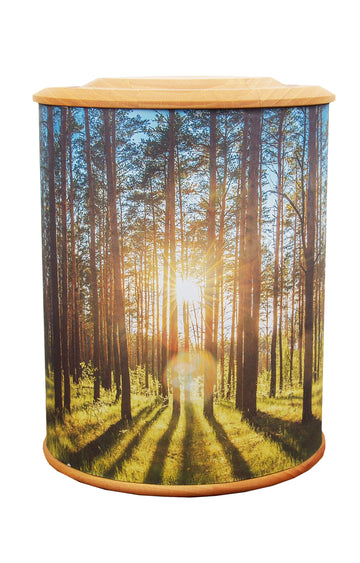 Motiv Urne WALD