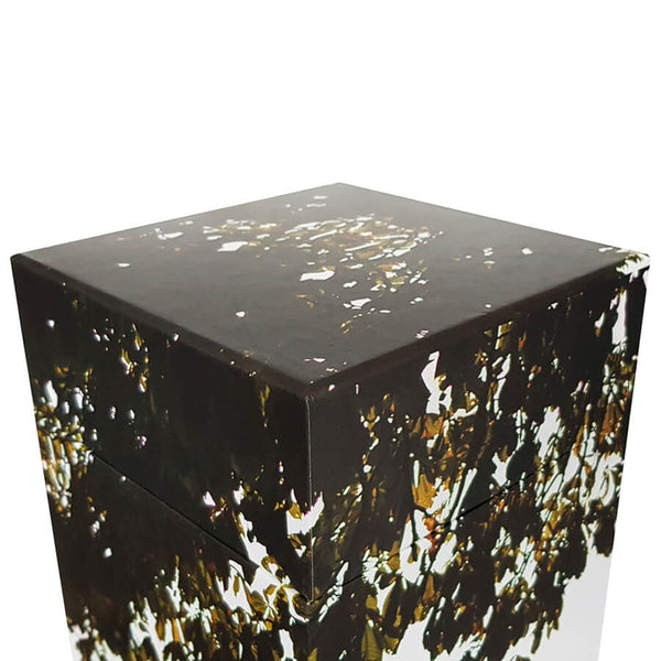 Aschestreubox doppelt